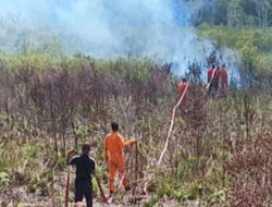 Seluas 240,77 Hektare Lahan di Kabupaten Natuna Terbakar