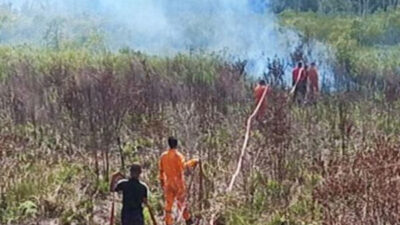 Seluas 240,77 Hektare Lahan di Kabupaten Natuna Terbakar