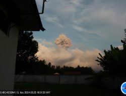 Gunung Ibu di Pulau Halmahera Erupsi Lontarkan Abu Vulkanik Setinggi 2,5 Kilometer