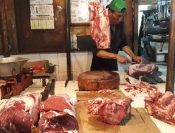 Stok Daging Bulog Kosong Alasannya Izin Impor Belum Keluar