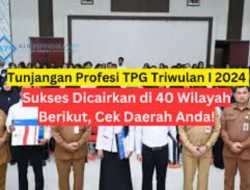 Berikut Daftar Daerah yang Sudah Cairkan Dana Tunjangan Profesi Guru Untuk Triwulan I Tahun 2024