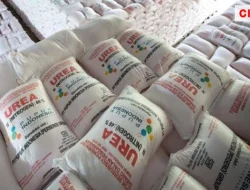 Pupuk Kaltim Sediakan 270.312 Ton Pupuk Subsidi dan Program Pendampingan Bagi Petani