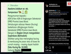 Sayembara Menangkap dan Membuang Kucing Oleh Sekretariat DPRD Jabar Menuai Kritik