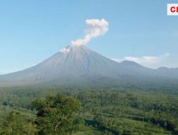 Sejak Kamis Gunung Semeru Masih Didominasi 159 Kali Gempa Letusan dan Masih Berlanjut Hingga Jumat