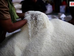 Perum Bulog Sebut Kenaikan Harga Beras Disebabkan Tingginya Harga Gabah Dari Petani