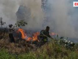 Tiga Kabupaten dan Satu Kota di Kalteng Berstatus Siaga Darurat Bencana Karhutla