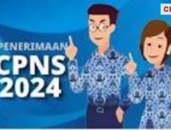 Pemerintah Siapkan 40 Ribu Kuota Penerimaan CPNS dan PPPK, 5 Persen Jatah Putra Putri Kaltim