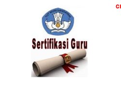 Serdik Jadi Syarat Administrasi Guru yang Ingin Mendaftar CPNS, Berikut ini Penjelasannya