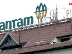 Harga Emas Batangan Antam Naik, Hari ini Dibanderol Rp1.406.000 Per Gram