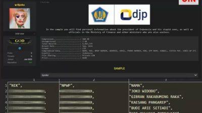 Data di DJP Diretas, Enam Juta Data NPWP Termasuk Milik Jokowi dan Sri Mulyani Bocor