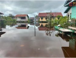 Imbas Intensitas Hujan 11 Kecamatan di Kapuas Hulu Terendam Banjir