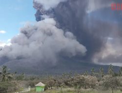 Aktivitas Gunung Lewotobi Laki-laki Masih Tinggi, Tinggi Kolom Abu Capai 2000-4000 Meter