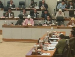 Anggota Komisi IV DPR Sebut Ada Hutan Lindung Mangrove yang Terancam Dialihfungsikan Untuk PSN