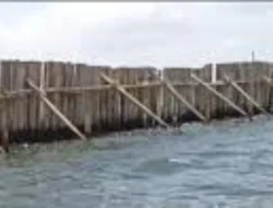 Pagar di Laut Desa Kohod Tangerang Masih Ada, Warga Pertanyakan Keseriusan Pemerintah