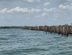 Berkas Dikembalikan, Kejagung Minta Perkara Pagar Laut Dialihkan ke Penyidik Kortas Tipikor
