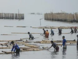 Dinas Kelautan dan Perikanan Banten Membongkar Sisa Pagar di Laut Tangerang