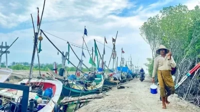 Polres Pamekasan Usut Dugaan Perusakan Hutan Mangrove Milik Perum Perhutani KPM Madura