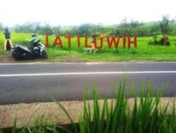 Masyarakat Desa Adat Jatiluwih Tabanan Persoalkan Keberadaan Restoran di Tanah Sengketa