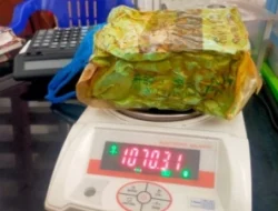 BNNP Jatim Curiga Penemuan 35 Kilogram Sabu Terapung di Laut Modus Baru Penyelundupan