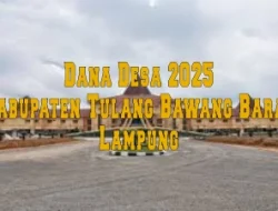 Berikut Daftar Desa Penerima Terbesar dan Terkecil Dana Desa 2025 di  Kabupaten Tulang Bawang Barat