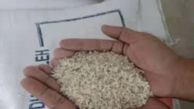 Marak Beras Oplosan Makin Meresahkan, Pemerintah Harus Segera Lakukan Operasi Pasar