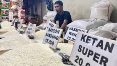 Berikut Daftar Harga Beras Nasional Berdasarkan Data PHPS dan BAPANAS
